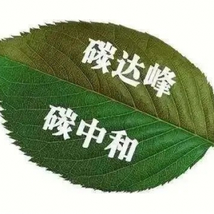 2021年11月27日国资委印发《关于推动中央企业高质量发展做好碳达峰碳中和工作的指导意 ...